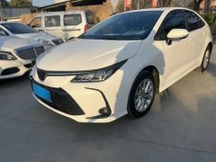 Toyota Corolla White 2021
