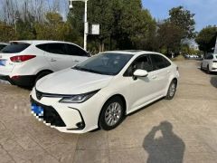 Toyota Corolla White 2021
