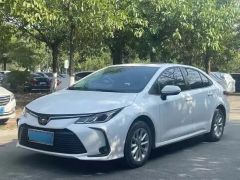 Toyota Corolla White 2021