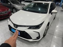 Toyota Corolla White 2021