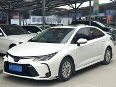 Toyota Corolla White 2021