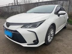 Toyota Corolla White 2021