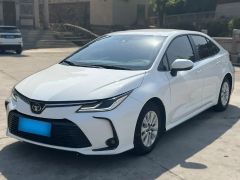 Toyota Corolla White 2021