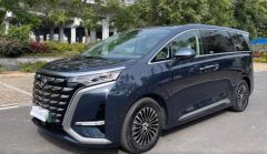 DENZA DENZAD9 Blue 2022