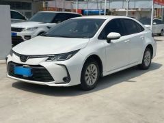 Toyota Corolla White 2021