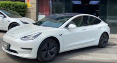 Tesla Model White 2019