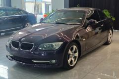 BMW 3 Series Purple 2010