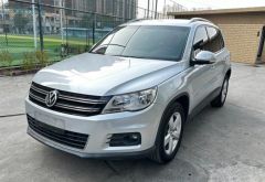 Volkswagen Tiguan Silver 2011