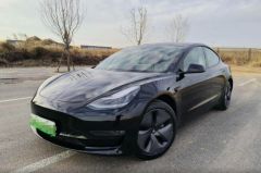 Tesla Model Black 2019