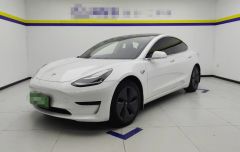Tesla Model White 2019