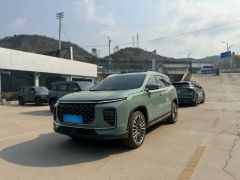 Jetour ShanHai L9 Green 2024