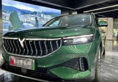 VOYAH FREE Green 2022
