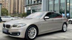 BMW 5 Series Brown 2013