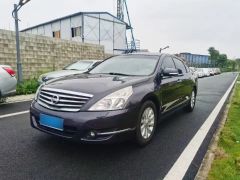 Nissan Teana Purple 2008
