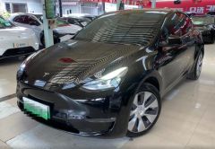 Tesla Model Black 2021