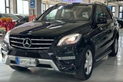 Benz M Black 2012