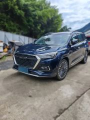 Jetour X95 Blue 2020