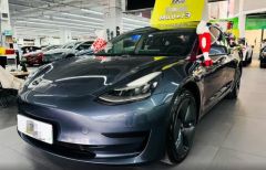 Tesla Model Gray 2020