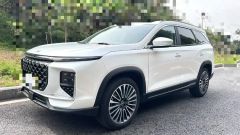 Jetour ShanHai L9 White 2024