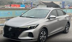 ChangAn EADO Gray 2020