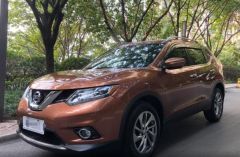 NISSAN Rogue Brown 2014