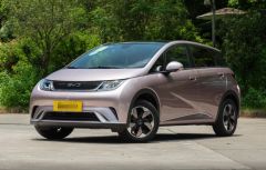 BYD Dolphin Pink 2024