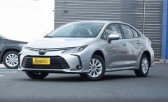 TOYOTA Corolla silvery 2024