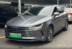 BYD BYD KING‌ Gray 2024