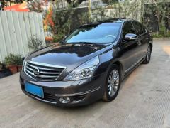 Nissan Teana Gray 2011