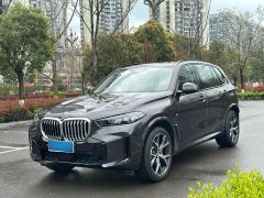 BMW X5 Gray 2023