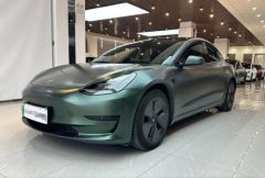 Tesla Model Green 2021