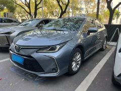 Toyota Corolla Blue 2019