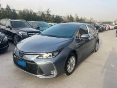 Toyota Corolla Gray 2022
