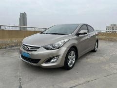Hyundai Elantra Brown 2013