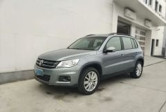 Volkswagen Tiguan Gray 2010