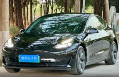 Tesla Model Black 2021