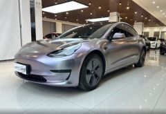 Tesla Model Gray 2021