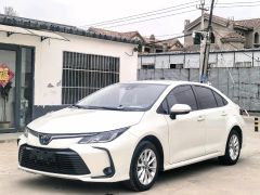 Toyota Corolla White 2019