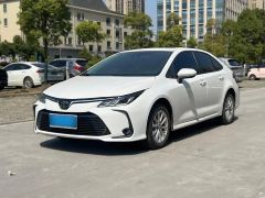 Toyota Corolla White 2021