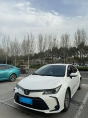 Toyota Corolla White 2023