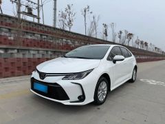 Toyota Corolla White 2023
