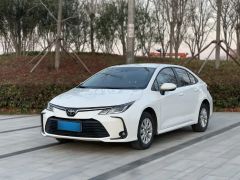 Toyota Corolla White 2023