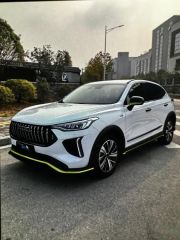 Haval Rabbit White 2022