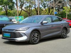 BYD QinL Gray 2024