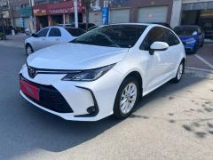 Toyota Corolla White 2021