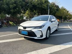 Toyota Corolla White 2019