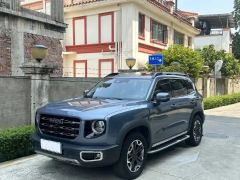Haval Dargo Blue 2021