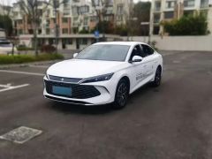 BYD QinL White 2024