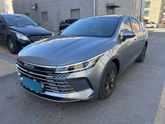 BYD Qin Plus Gray 2024