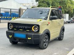 Geely Panda Other 2024